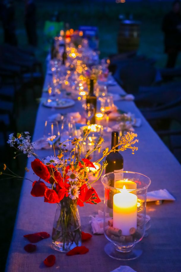 vecera-u-vinogradu-2