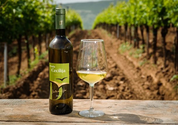 cecilija vino