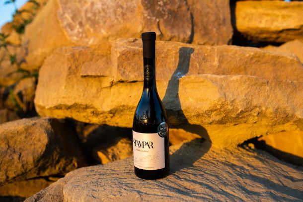 Štampar Pušipel Classic 2018_2-1