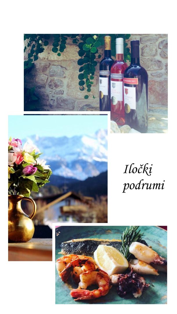 ilički podrumi vina