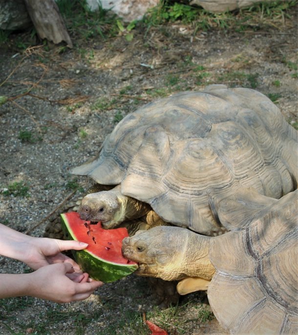 zagreb-digitalno-ponuda-02