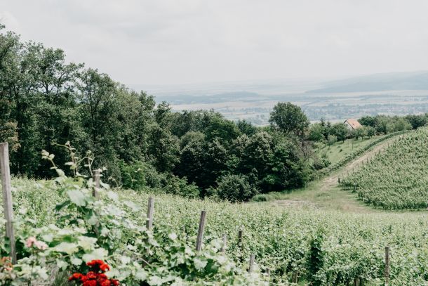 zelena-prica-slavonija-3