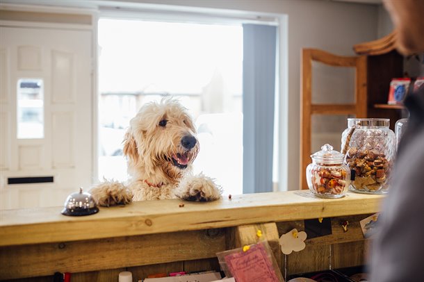 putovanja-buducnosti-02