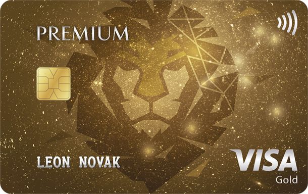 VISA 2019 Premium visa - Lav v1.0 Maja6