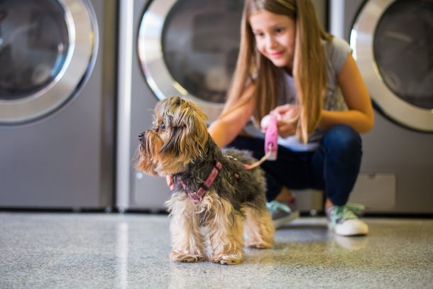 praonica-savski-most