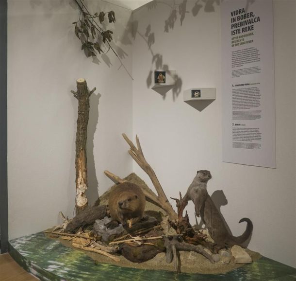 muzej-slo-4