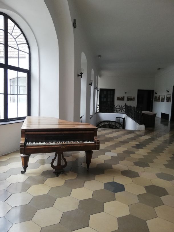 daruvar-jankovic-dvorac-03