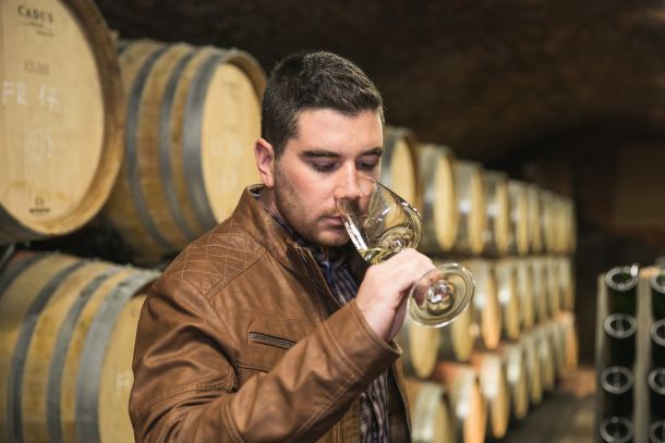 klima-frankovka-feravino-1