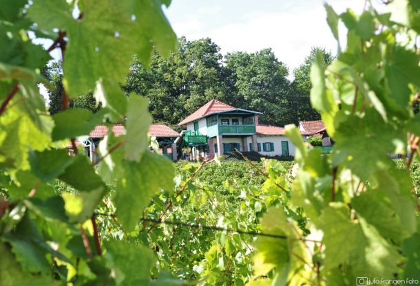 klima-frankovka-feravino-3