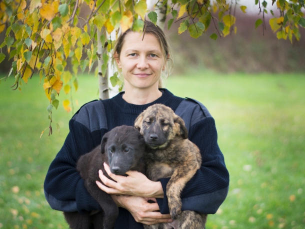 koronavirus i psi Marija Ferenček sa štencima