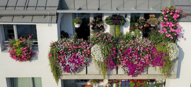 Najljepši bečki balkon 2019. © Wohnservice Wien - Ludwig Schedl-1