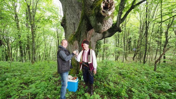 milan-delivuk-selo-sobatovici-1