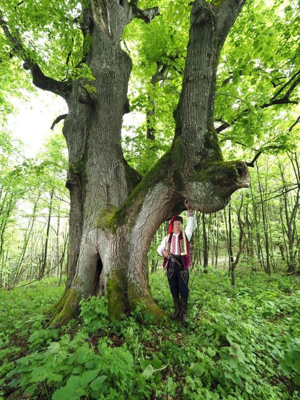 milan-delivuk-selo-sobatovici