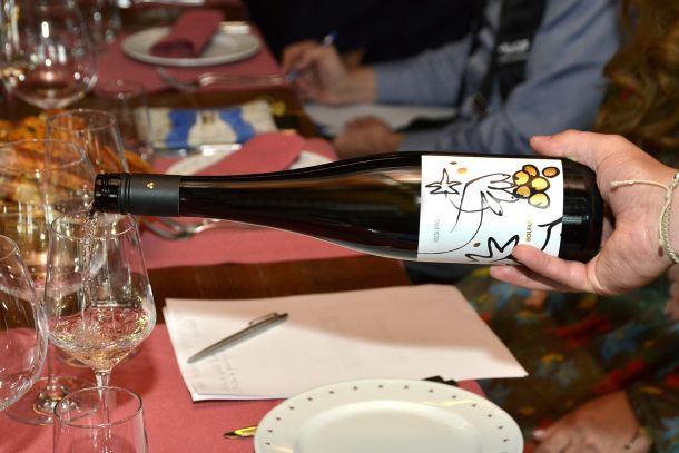 bolfan-vinski-vrt-vinarija-4