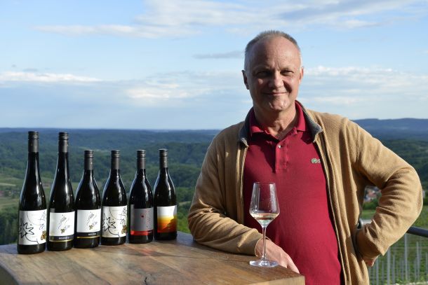 bolfan-vinski-vrt-vinarija-6