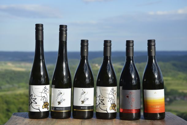 bolfan-vinski-vrt-vinarija-7