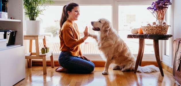 5 stvari koje nikada ne biste smjeli raditi svom psu