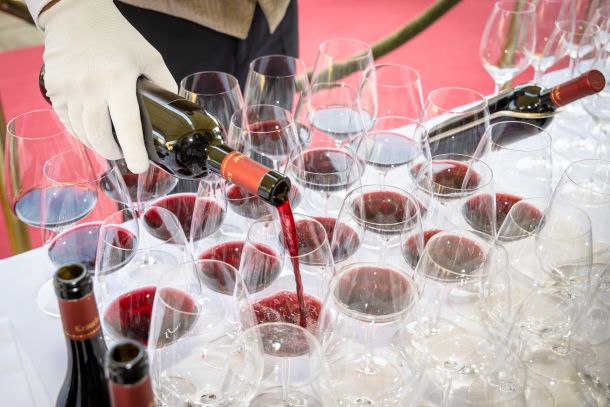 esplanade-zagreb-hotel-berba-oleander-3