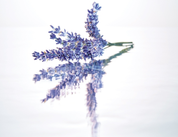 guerlain miris  lavanda