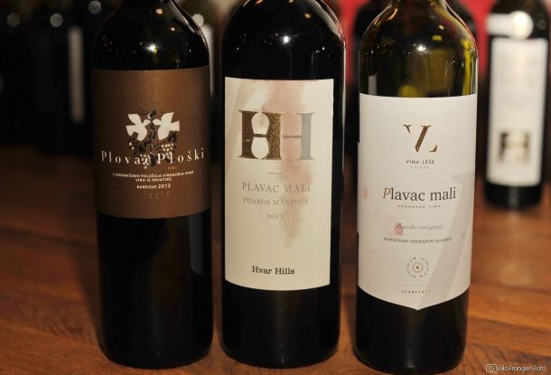 jelsa-summer-tasting-2