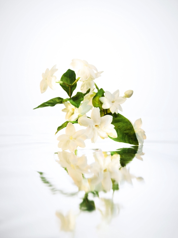 miris Mon Guerlain Bloom of Rose jasmin