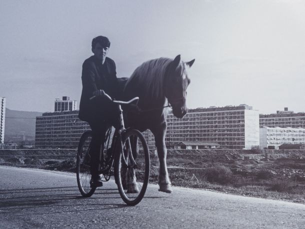 Slavka Pavić fotografkinja