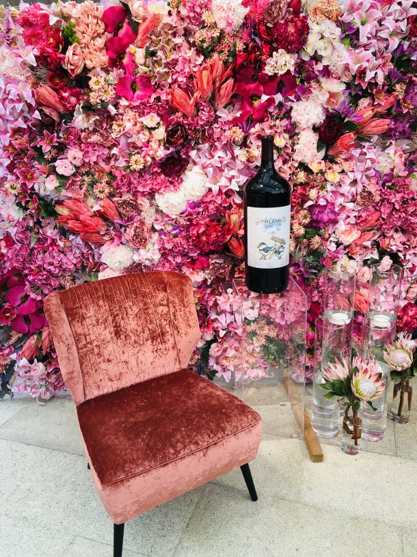 crveno crno vino za meso teran