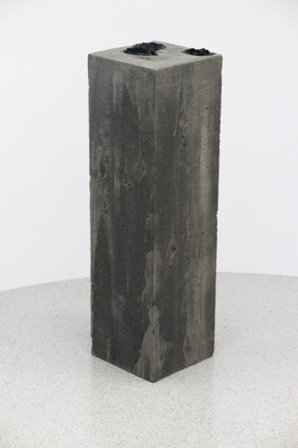 izlozba-bunny-rogers