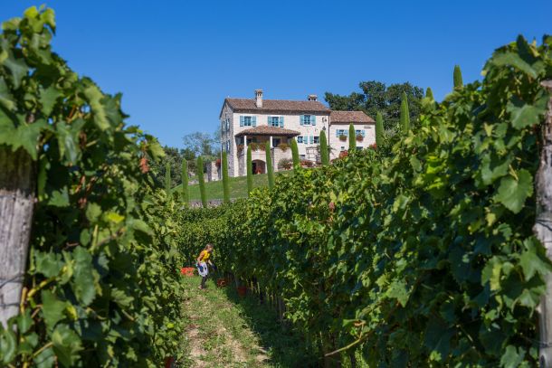 kabola-winery-autumn-3