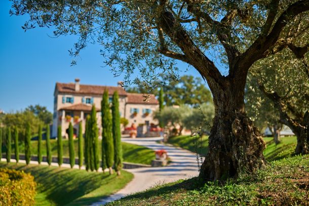 kabola-winery-autumn-4