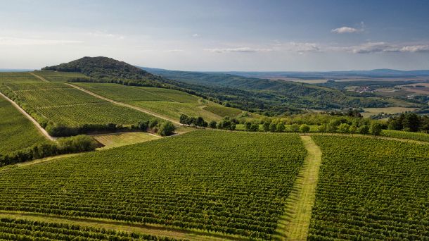 pecuh-kazaliste-predstava-2