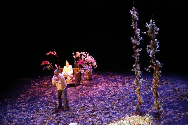 pip kazaliste predstava