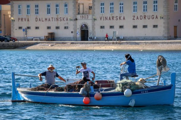 ana-rucner-klasicna-bol-3