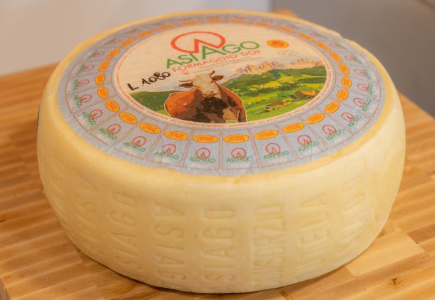 talijanski sir zagreb gunduliceva