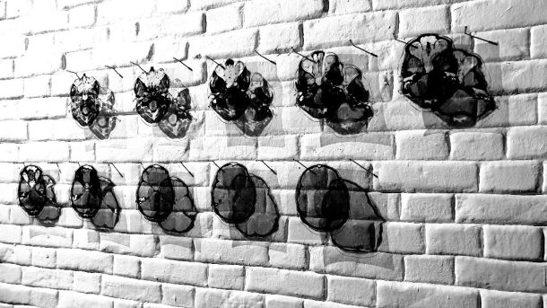 izlozba-mentalne-mape-kovacevic-2