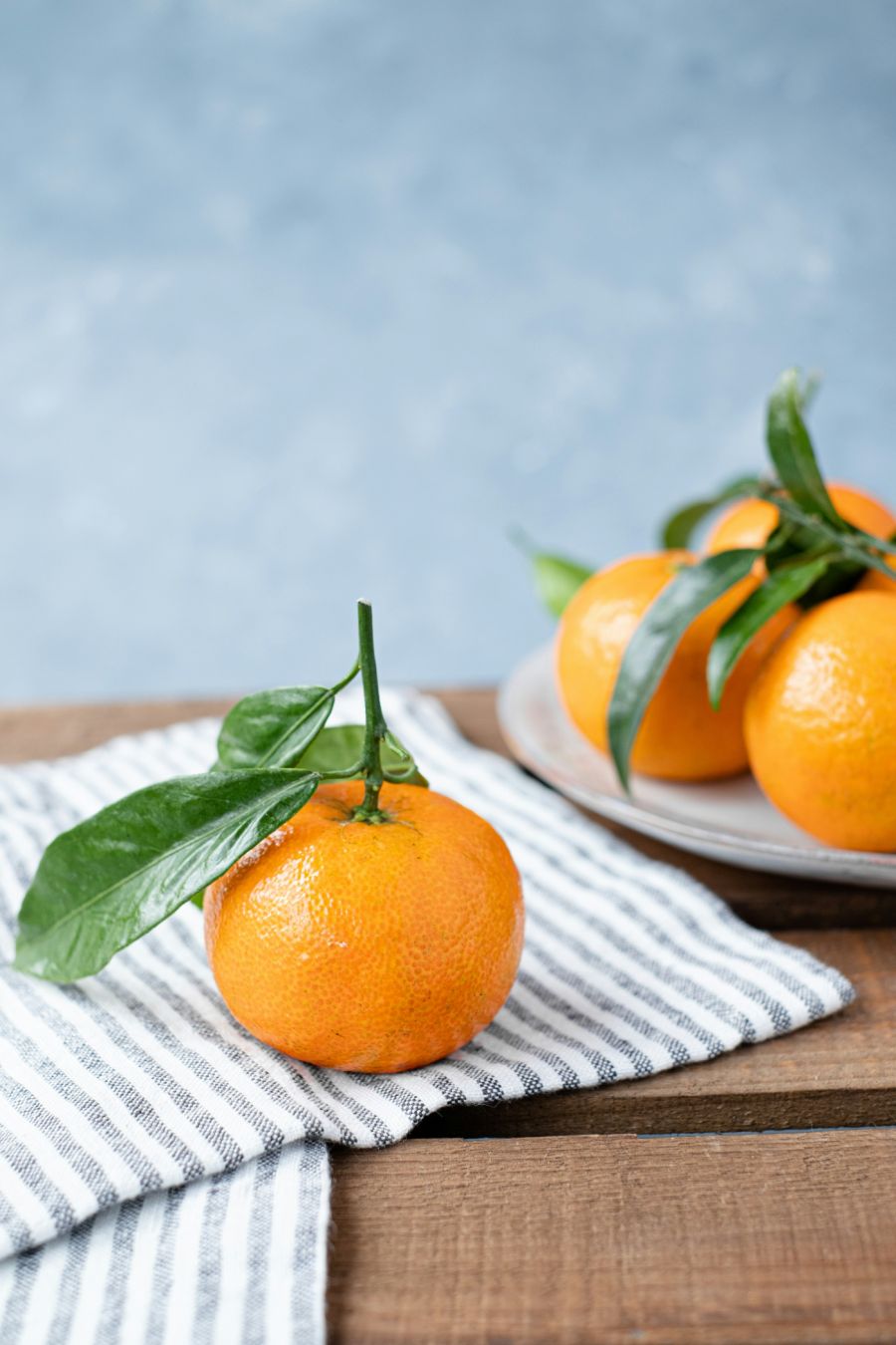 kako posaditi drvo mandarine mandarina