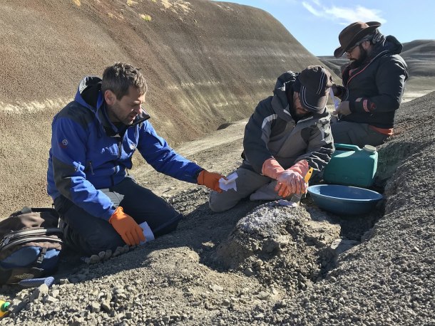 kad-su-kitovi-hodali-2