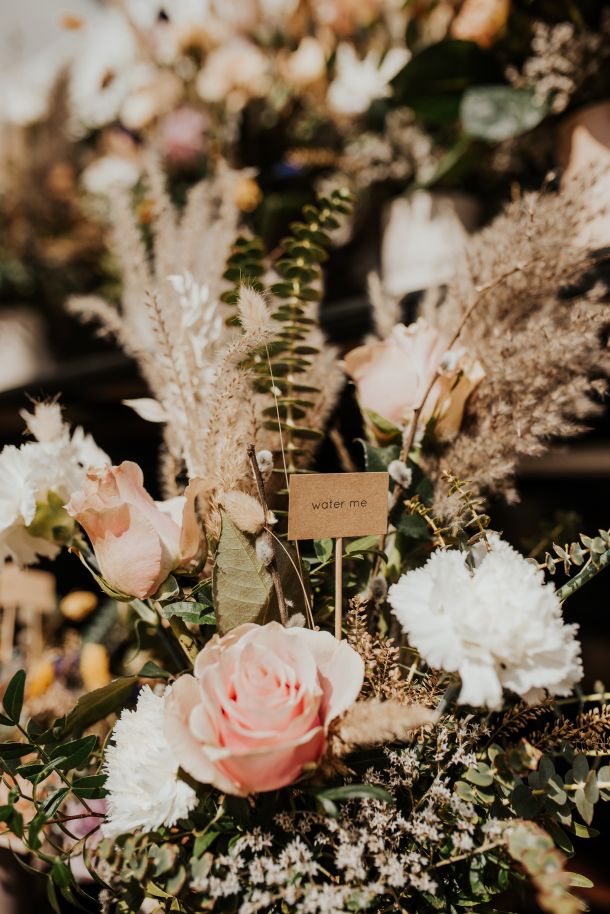 adela-mese-proljece-2