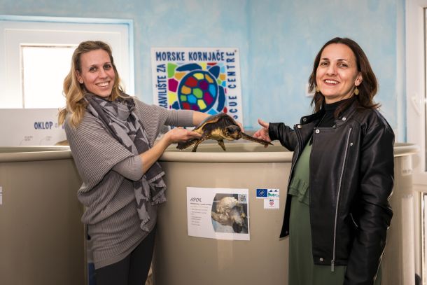 plavi-svijet-kornjace-3