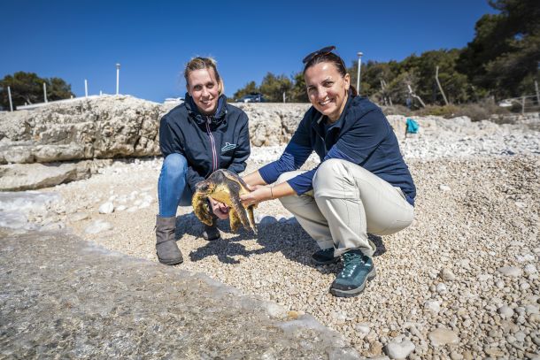 plavi-svijet-kornjace-4