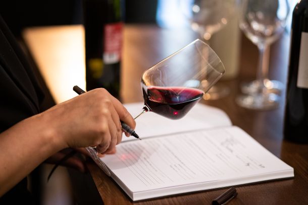 jelena-simic-valentic-biljeske-vino-3