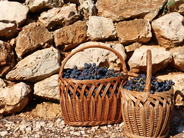 peljesac-vinsko-dogadjanje-1