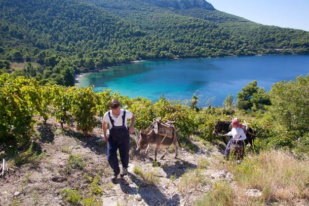 peljesac-vinsko-dogadjanje-9