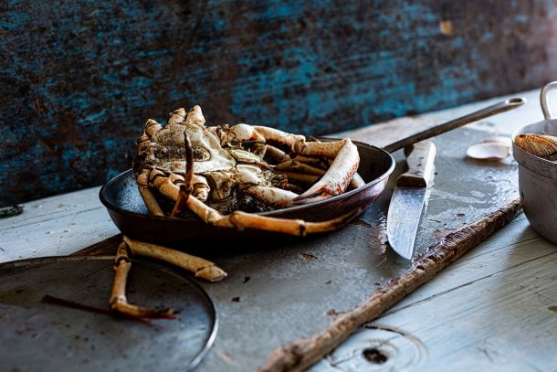 putevima-rovinjskih-delicija-3