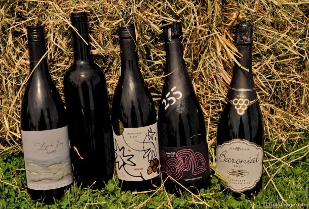 pjenusavi-dorucak-zagorje