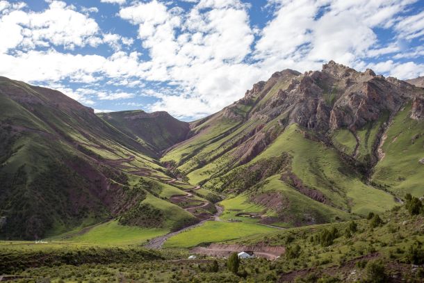 divlja-kina-ray-mears-1