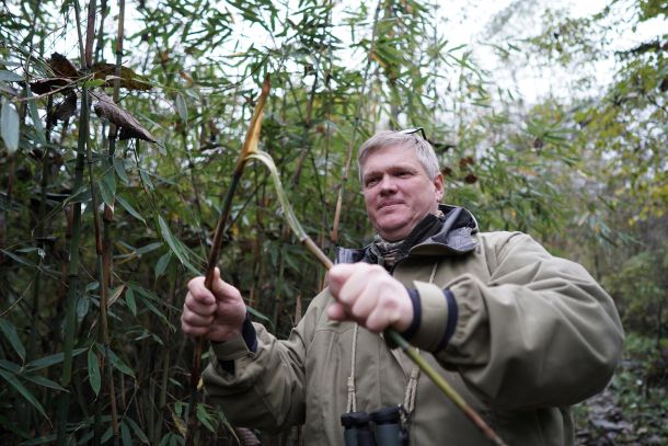 divlja-kina-ray-mears-3