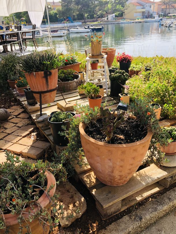 otok mjesto ilovik otok cvijeca