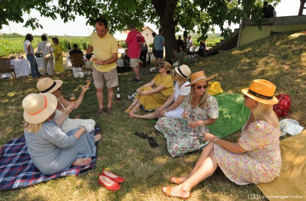 pjenusavi-dorucak-u-vinogradu-ilok-2