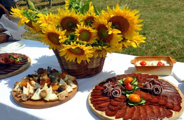 pjenusavi-dorucak-u-vinogradu-ilok-4